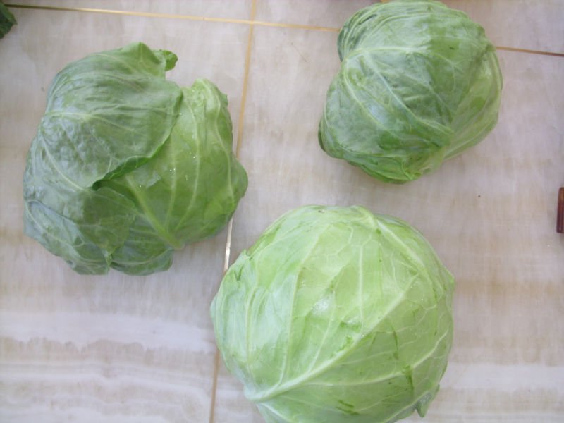 C1