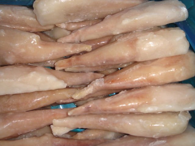 DSC09829.JPG