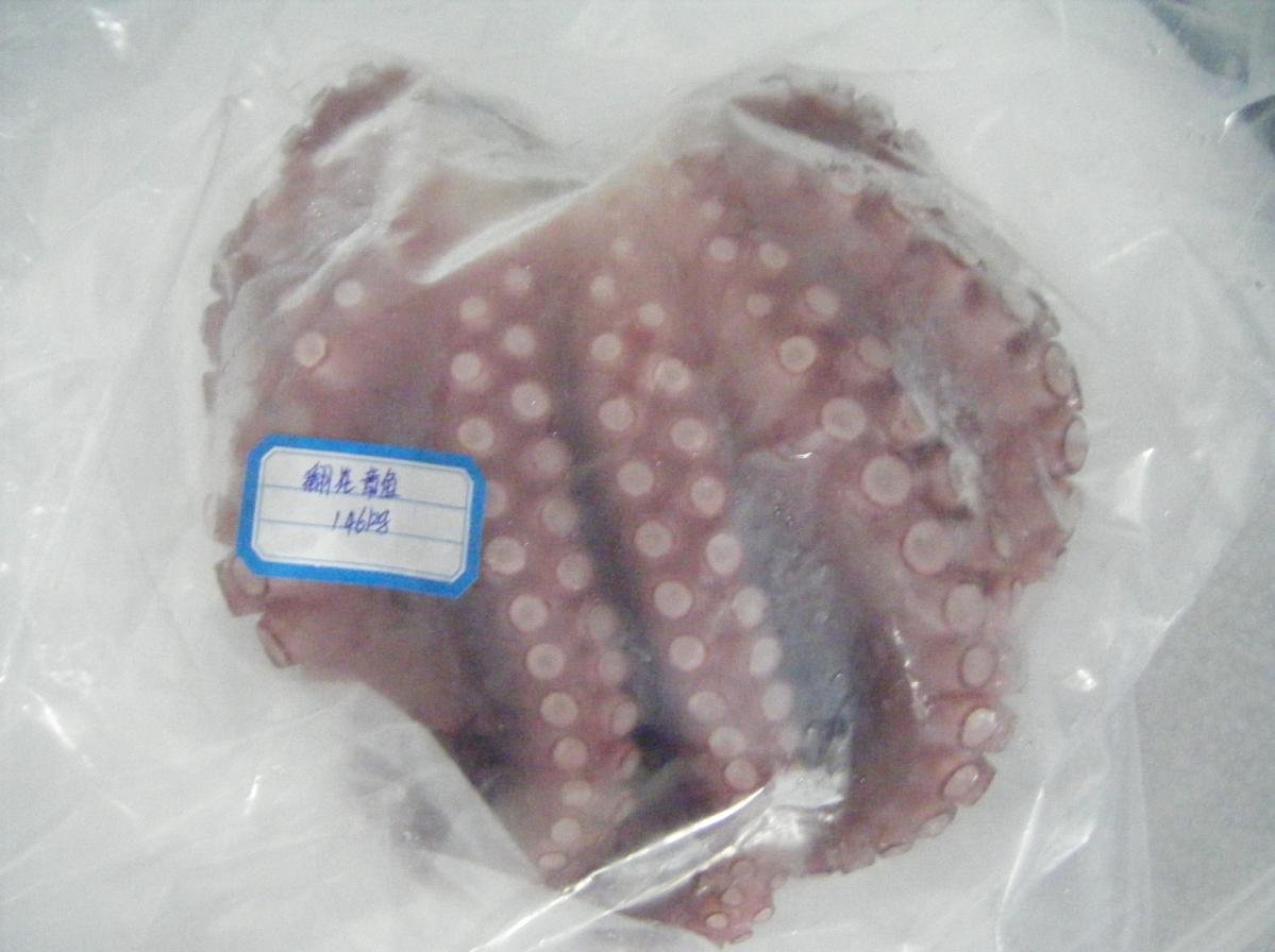 octopus1995.jpg