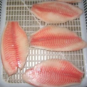 tilapia fillet(co treated)