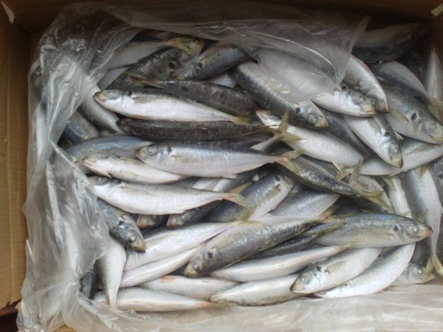 ROUND SCAD