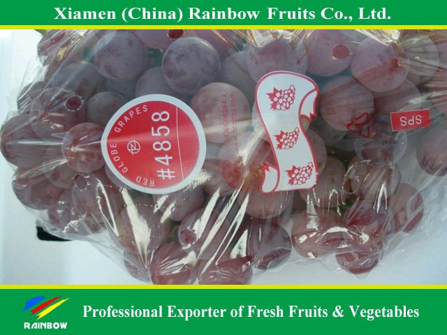 Red globe grape (N.W.8Kgs)