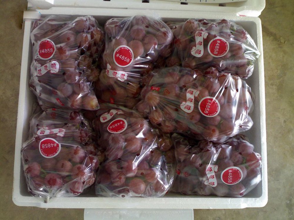 fresh red globe <a href=