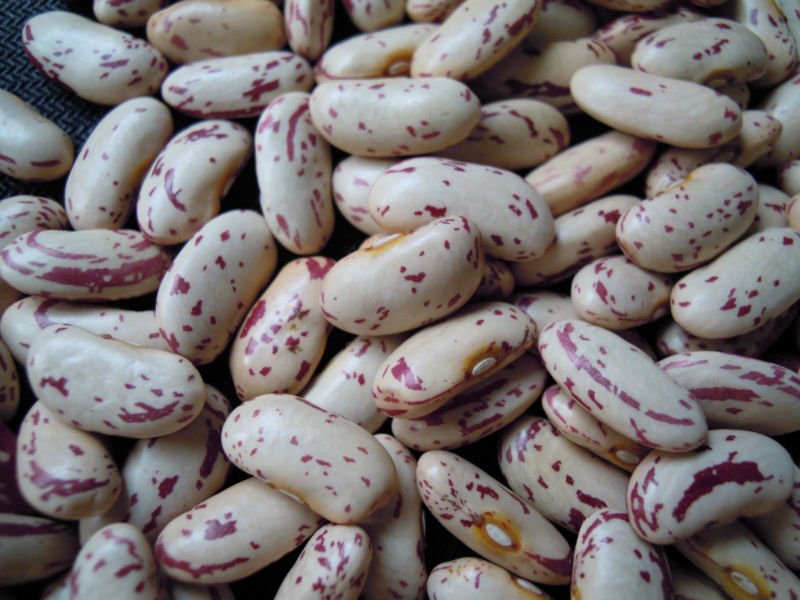 2010cropYIAN  lskb long shape 220-260pcs 026