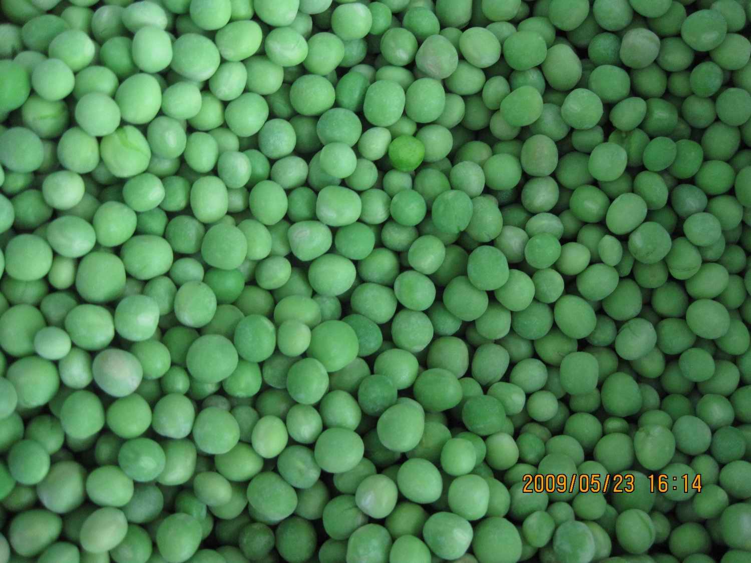 green <a href=