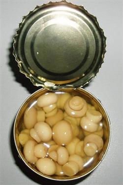 20100121091856_l.jpg