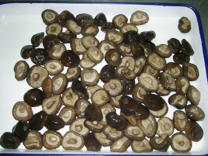 straw mushroom-