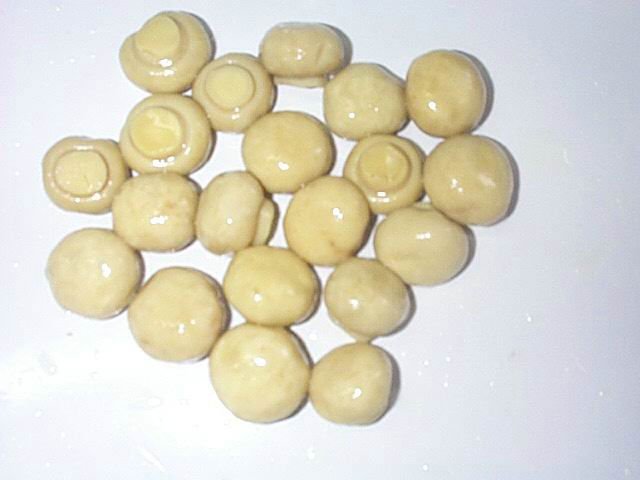 2008113051582501