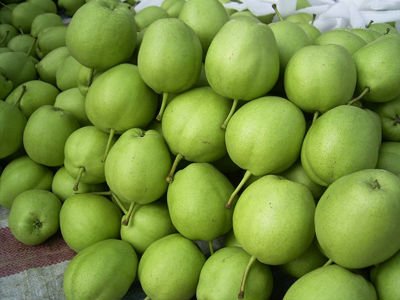 pear05