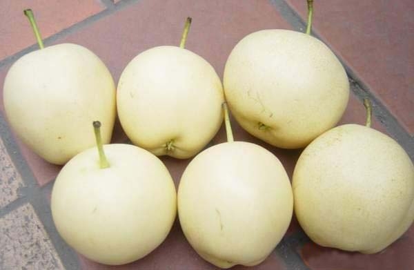 Emerald Pear.jpg