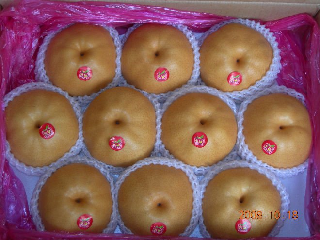 singo pear.jpg