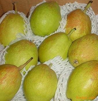 fragrant pear 1.jpg