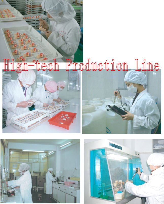 High-tech Production Line.jpg