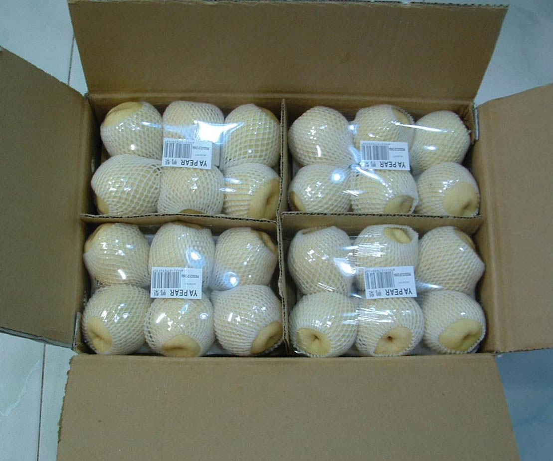 ya Pear 3.jpg