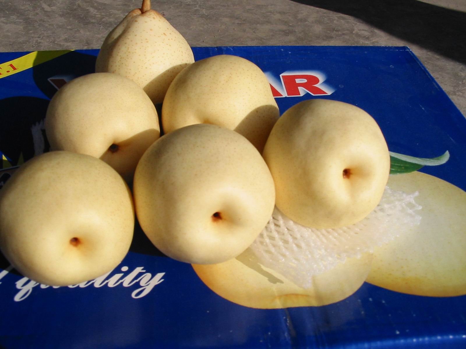 ya pear
