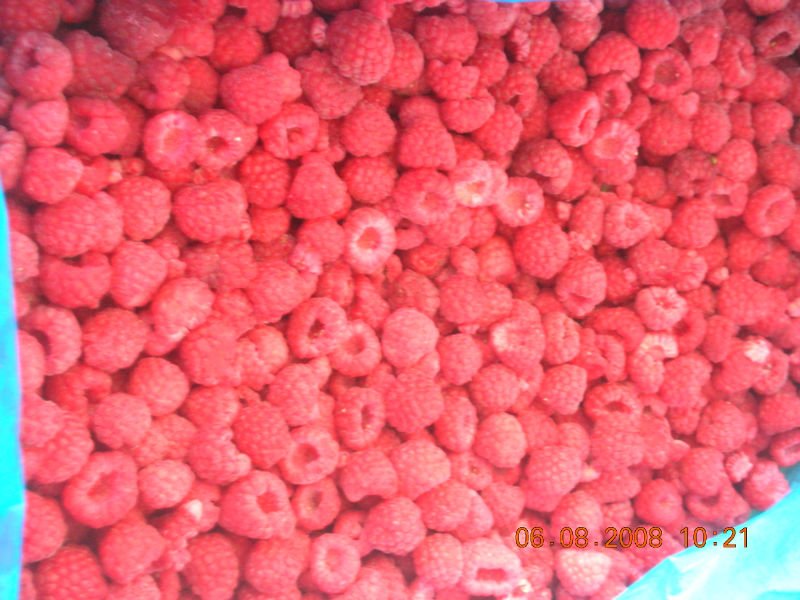 DSCN5609.JPG