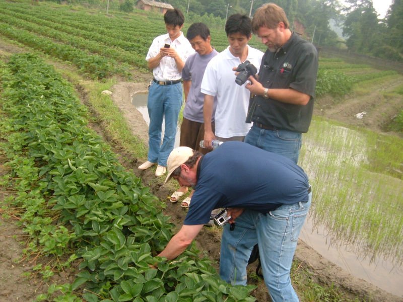 Customers in Farm