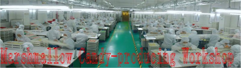 Marshmallow Candy-producing Workship.jpg