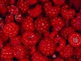 michael-s-quinton-a-pile-of-wild-raspberries.jpg