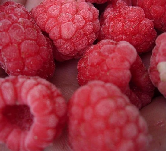 raspberry ye1.JPG