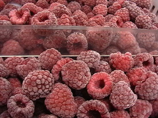 raspberry 3.jpg