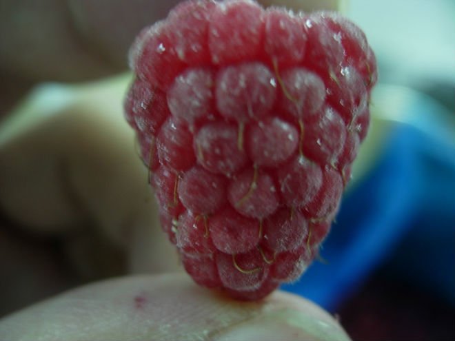 DSCN1976.JPG