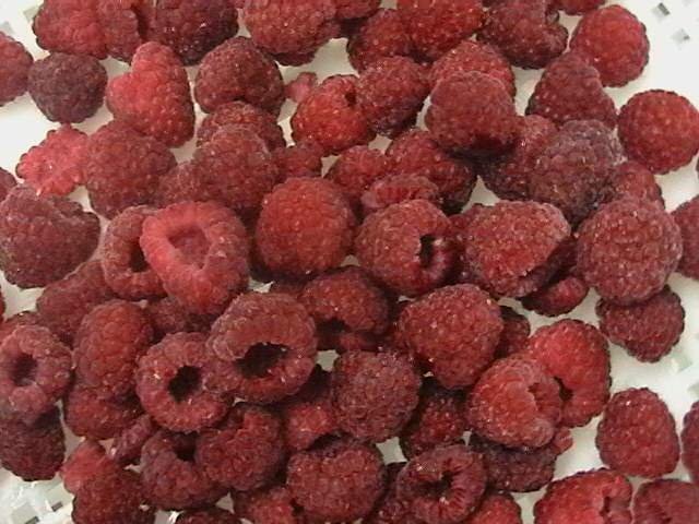 IQF RASPBERRY.JPG