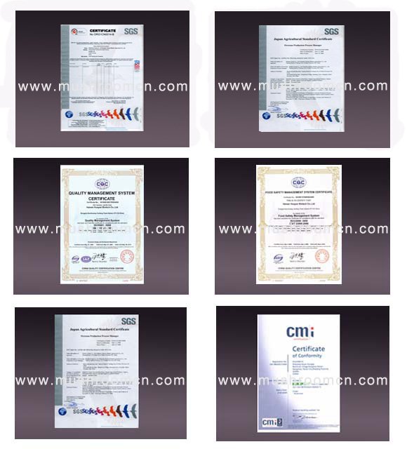 certificates 1
