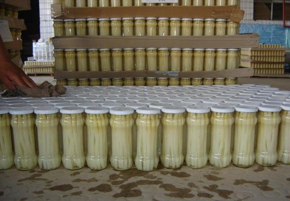 Canned-Asparagus-Whit222