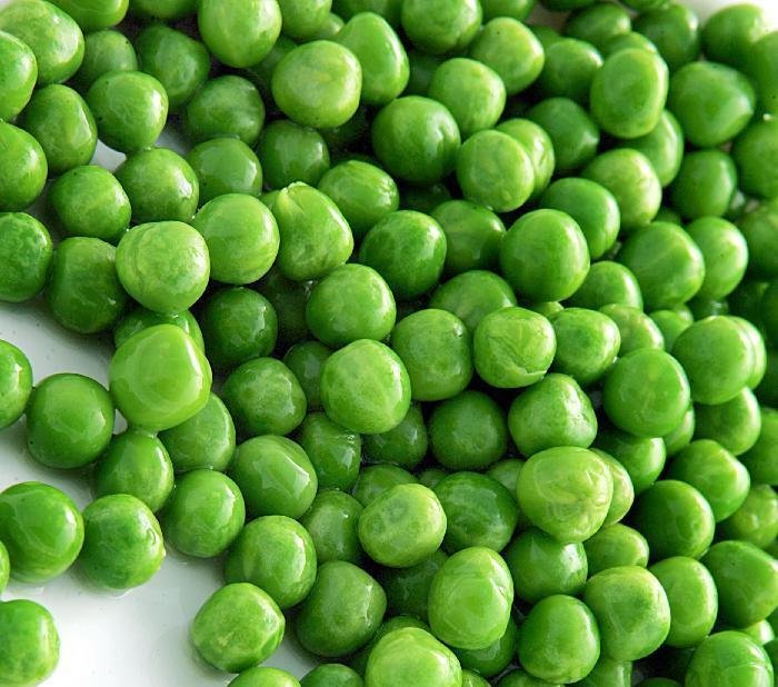 canned lima beans,China Global link price supplier 21food