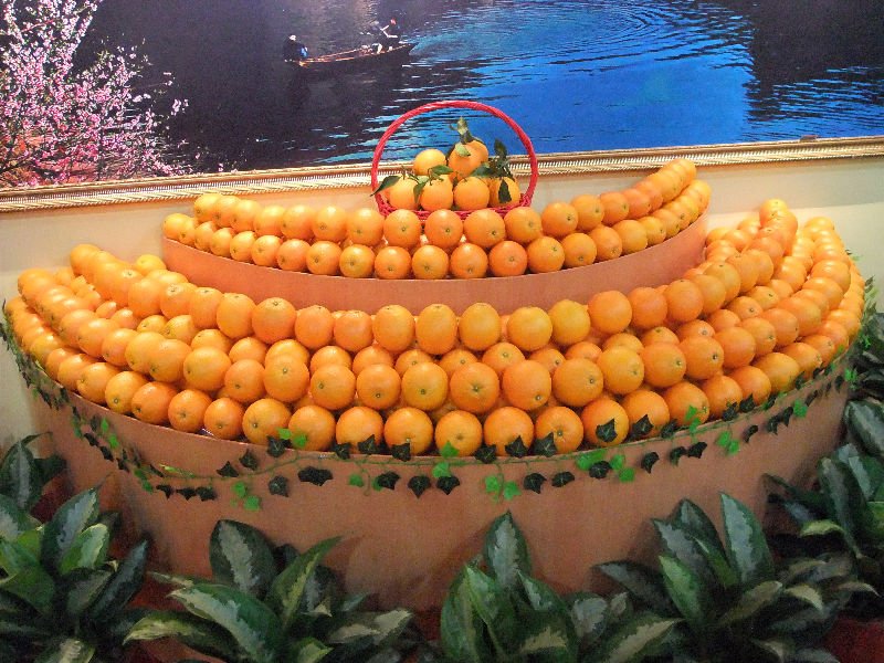 DSCF0795