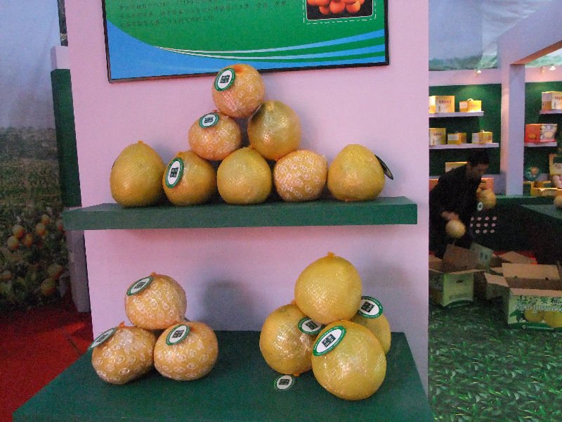 DSCF0761