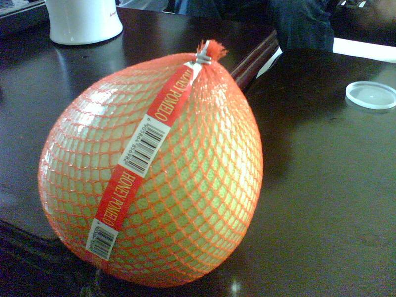 IMG0202A.jpg