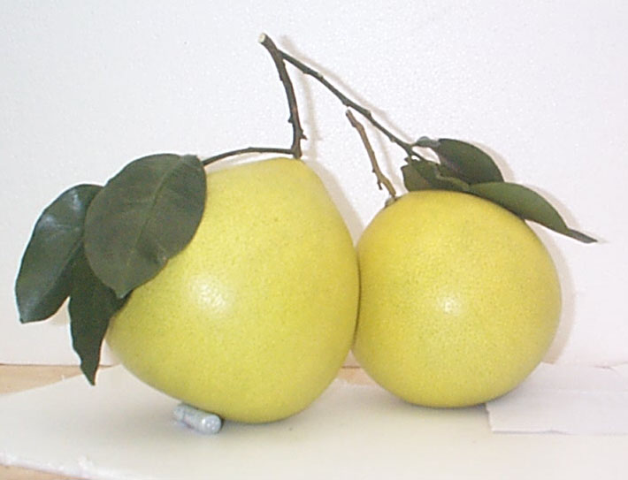 Honey-Pomelo.jpg