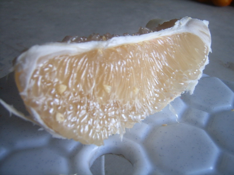 SUC51917.jpg