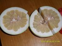 SAM_0190