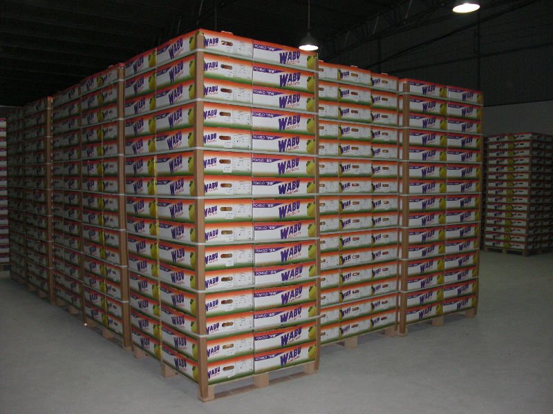 CIMG1093