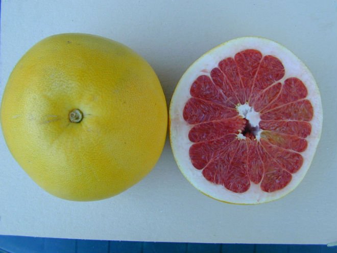 chinese   sweet       pomelo