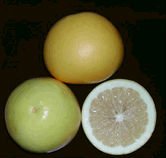 chinese   pomelo