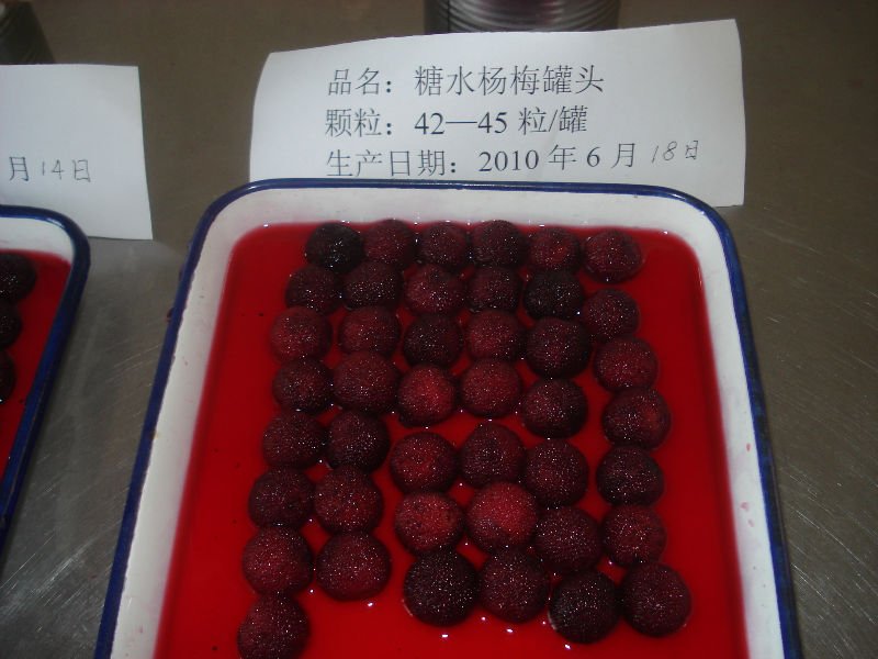 DSC04664