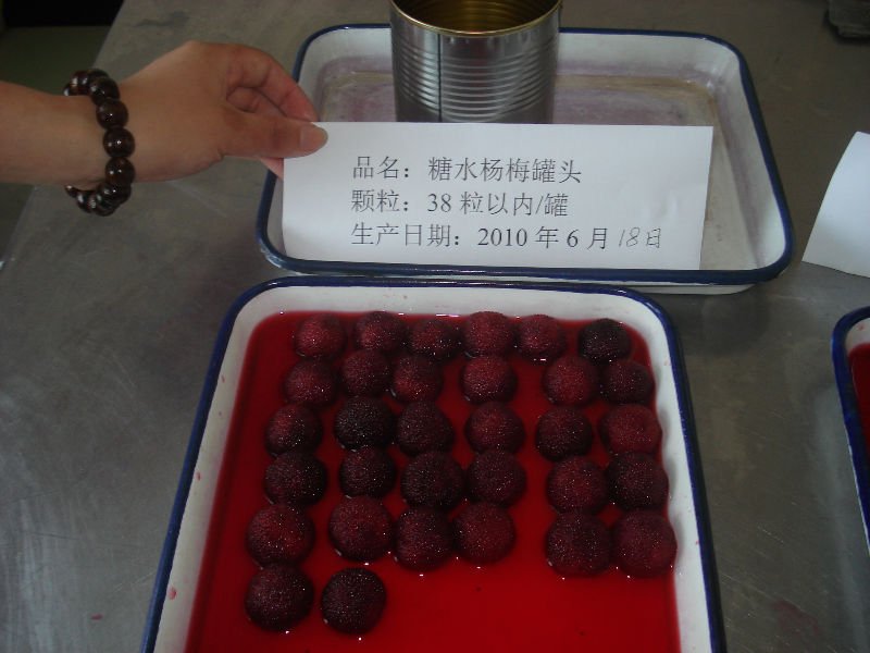 DSC04666