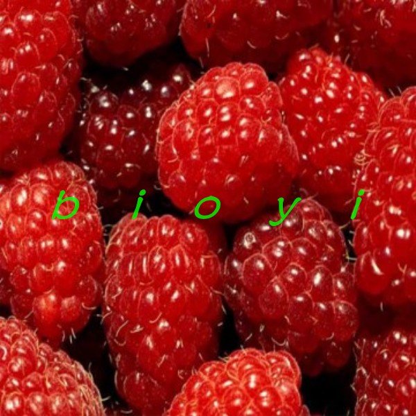 conew_ 1_conew1.jpg