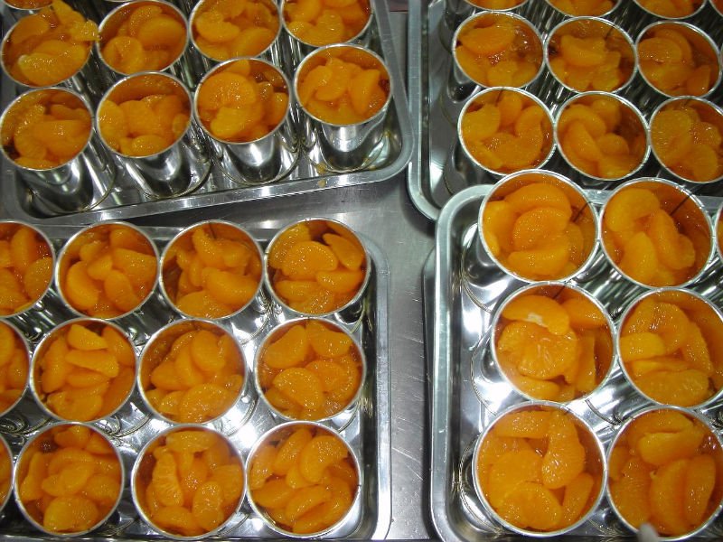 CANNED mandarin ORANGES 6
