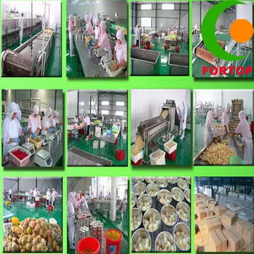 Production-line_.jpg