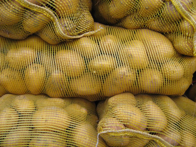 2011-chinese-potato-fresh-potato-in-mesh-bag-china-greenfarm-price