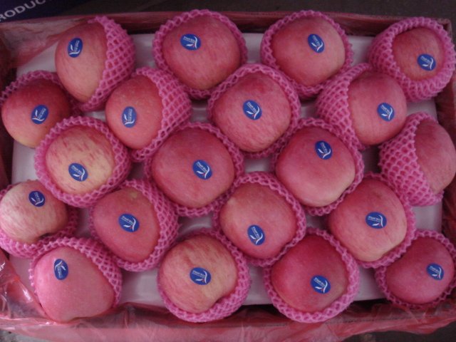 DSC06098
