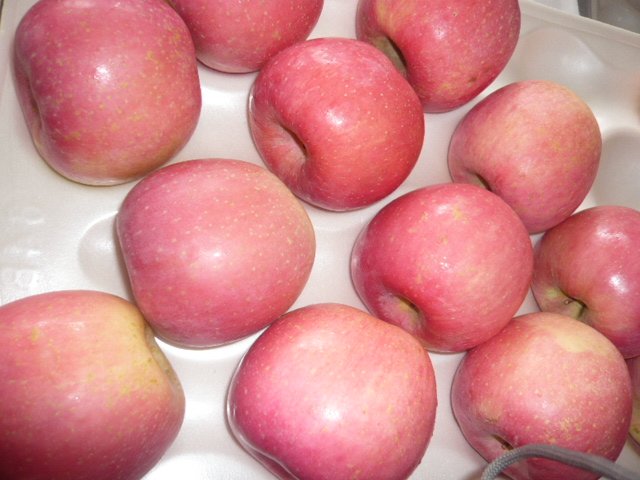 fuji2.JPG
