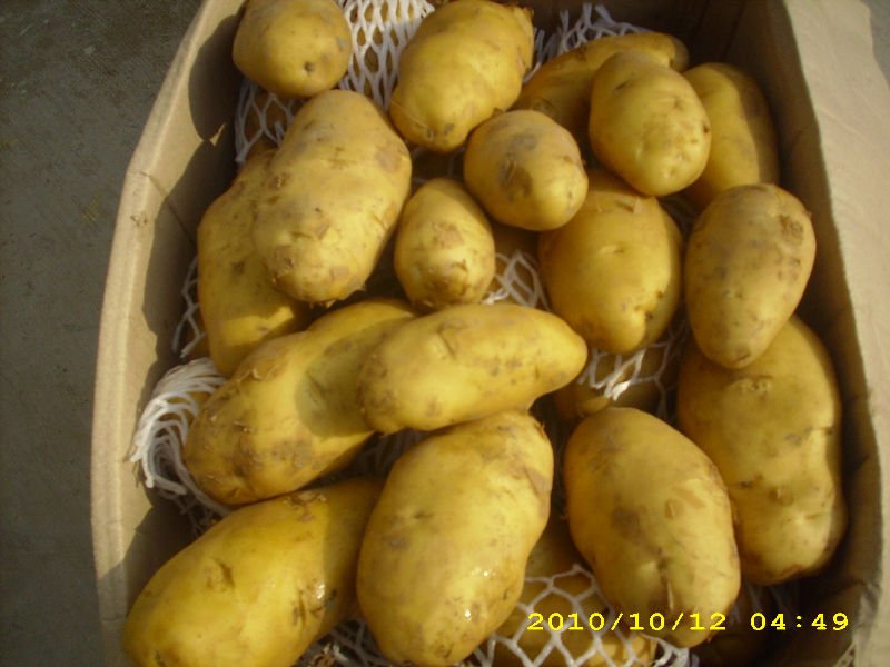 DSCI0905