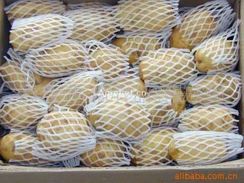 2009111402052036462