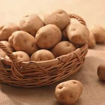 potato4